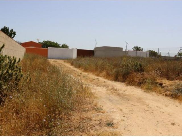 Ocasión Parcela rustica