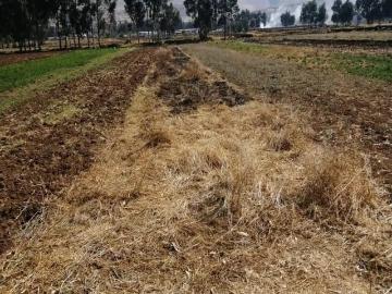 OCASIÓN: VENDO TERRENO AGRÍCOLA DE RIEGO