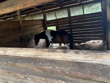 OCASION VENTA DE TERRENO ECOLOGICO EN OXAPAMPA