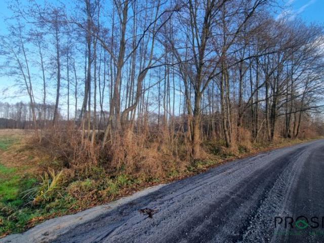 Ochla Żagańska 8 500 m², Zielona Góra