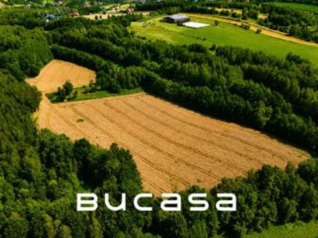 Ochmanów, 35600 m² Działka