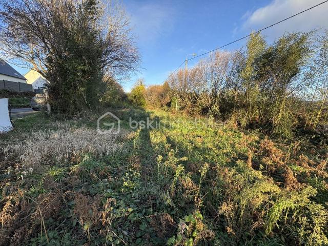 Octeville Vente Terrain 50