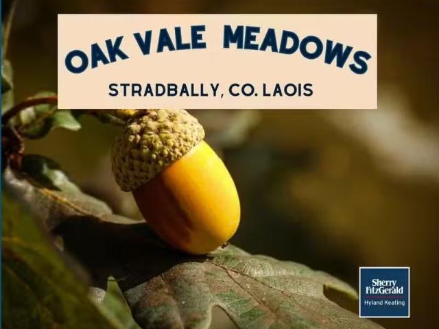 Oak Vale Meadows, Stradbally, Co. Laois is for sale
