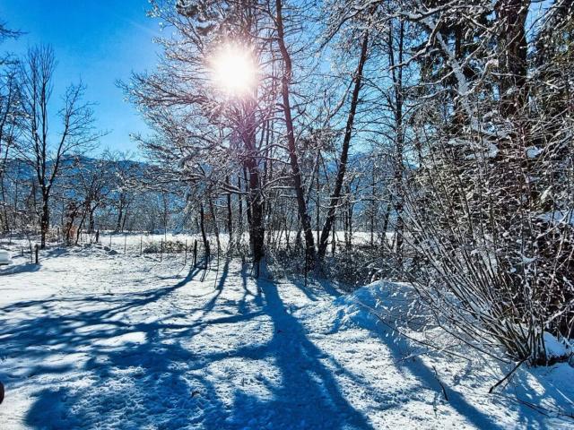 Oase der Ruhe idyllisches Grundstück mit Bauwidmung