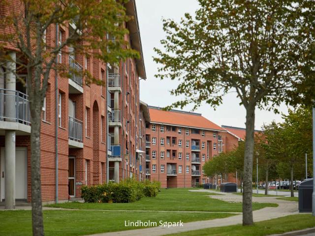 Oase ved søen i Lindholm Søpark