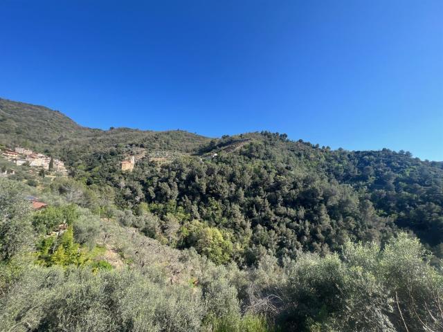 Oasi di pace Proprietà in Italia A 15 minuti da Ventimig. 83m² Ventimiglia