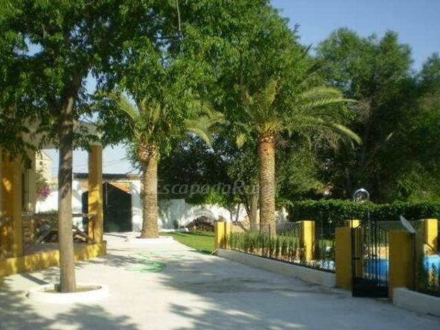 Oasis Aguzaderas