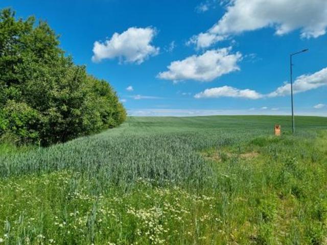 Oborniki Śląskie, ul. Wolności, 1579 m² Działka