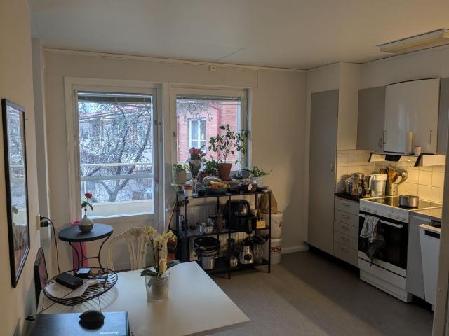 Öbackavägen, Umeå