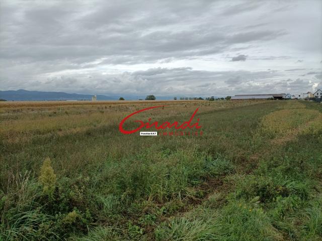 OBERENTZEN 68127 TERRAIN DE CONSTRUCTION VIABILISE DE 558 M2