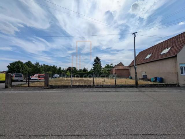 Oberhoffen sur Moder Vente Terrain 67