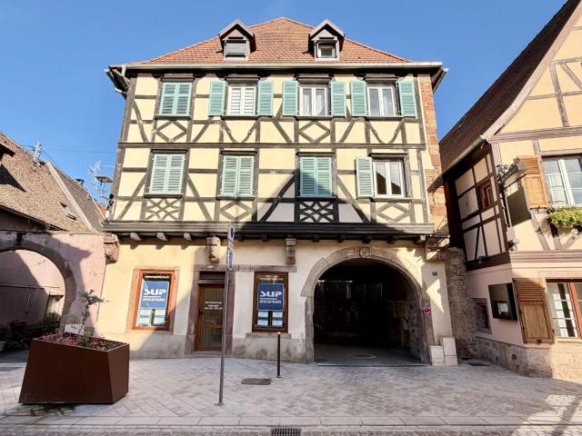 Obernai Location Appartement 67