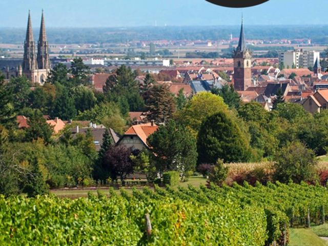 Obernai Vente Appartement 67