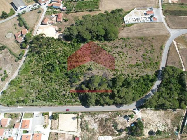 Óbidos Óbidos 103573590