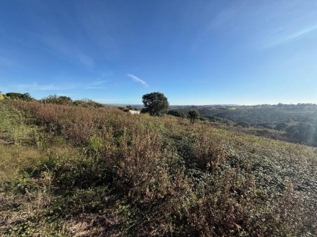 Óbidos Óbidos 96775466