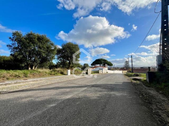 Óbidos Leiria LS98333793