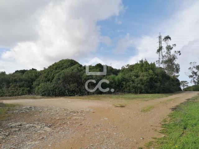 Óbidos Leiria 96064465