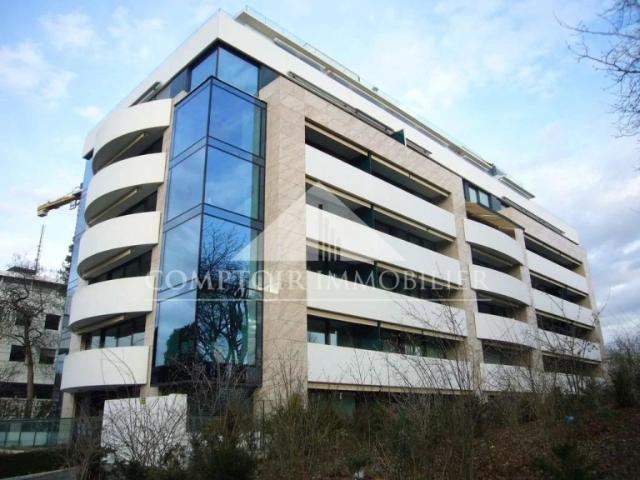 Objet unique dans un immeuble de haut standing en plein coeur des organisations internationales. Comptoir Immobilier