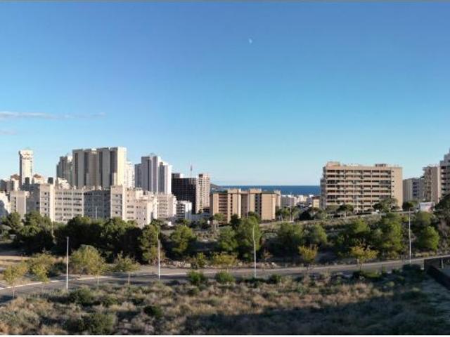 Obra Nueva en la Cala de Altas Calidades