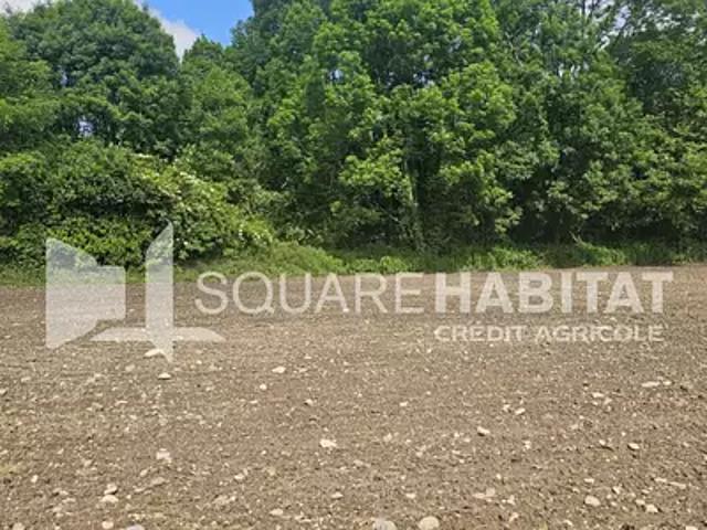 Ogeu les Bains 64680 Achat / Vente terrain