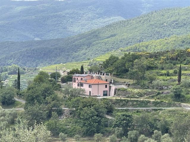 Oggetto immobiliare generoso in Italia/Liguria 289m² Arzeno d'Oneglia
