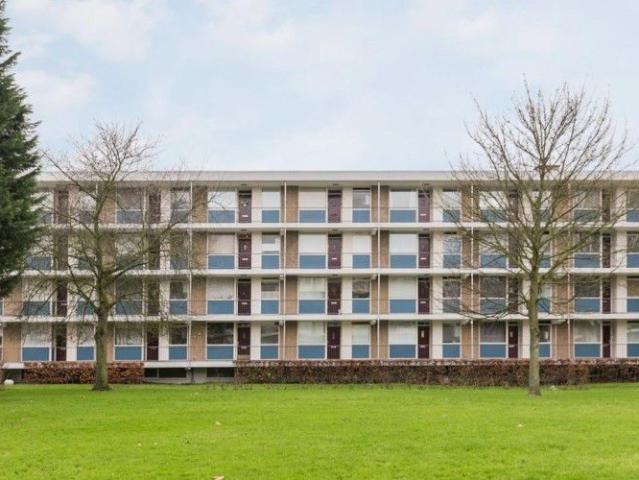 Ogierssingel 0ong, 3076 Rotterdam, Nederland