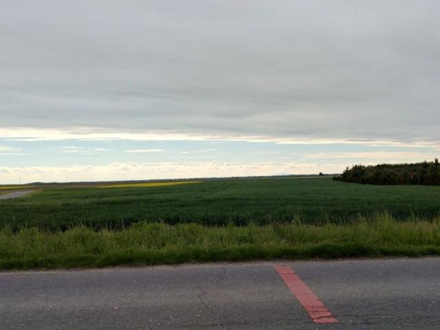 Ogrodowa 4 197 m², Chwalibożyce