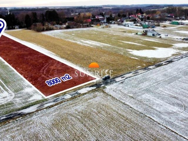 Ogrodowa 8 000 m², Siemyśl
