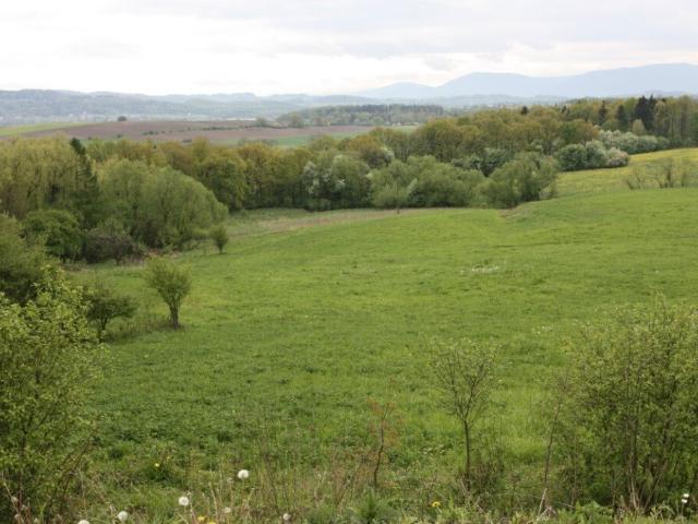 Działka 25 442 m² z potencjałem inwestycyjnym Dębowiec