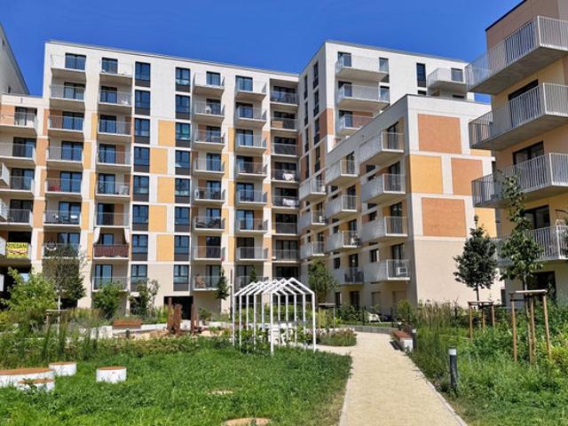 Łódź, Widzew Wschód, Widzewska