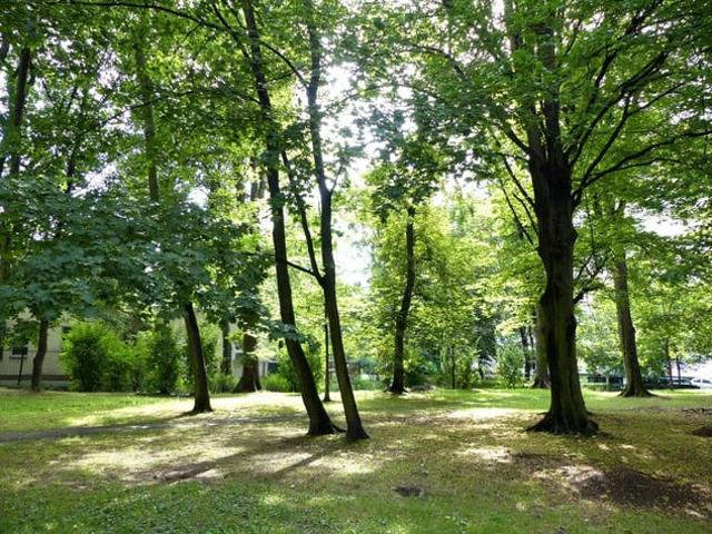Łódź, Bałuty