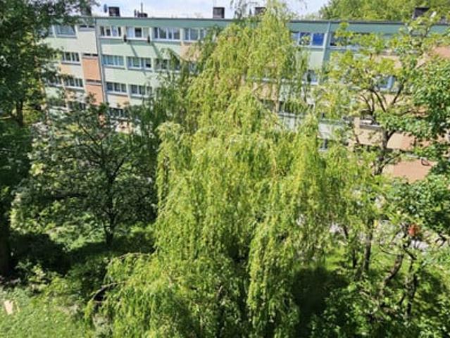 Łódź, Bałuty