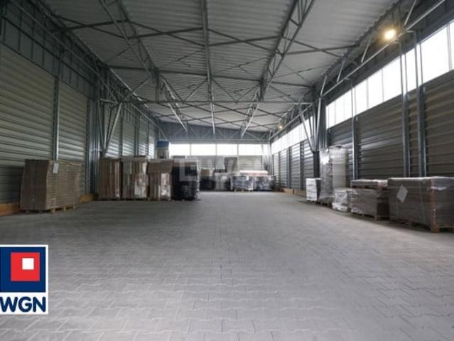 Łódź Grodzki, Łódz, Niechcice