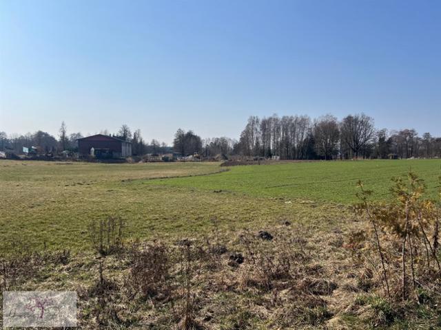 Łódź M. Łódź, Widzew, Andrzejów, Gajcego