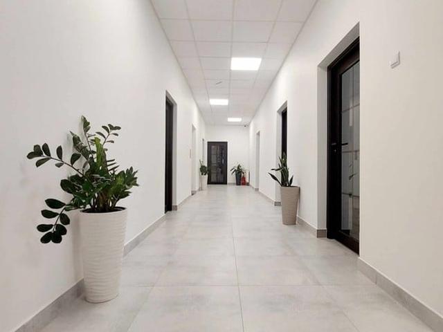Łódź, Śródmieście, Aleja Tadeusza Kościuszki