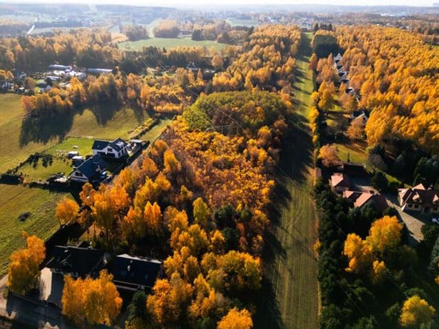 Łódź, Sapieżyńska