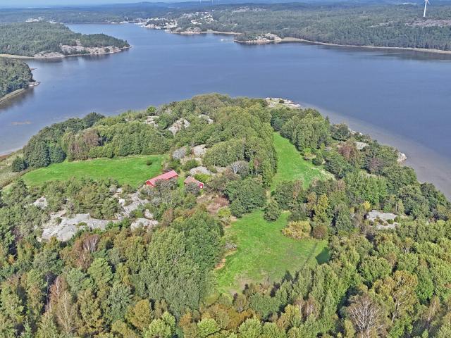 Ödegården 1