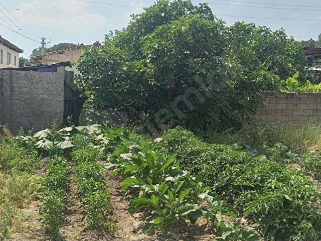 ÖDEMİŞ KAYMAKÇI'DA YATIRIM İÇİN UYGUN ARSALARIMIZLA TANIŞMAK İÇİN SİZLERİ BEKLİYOR