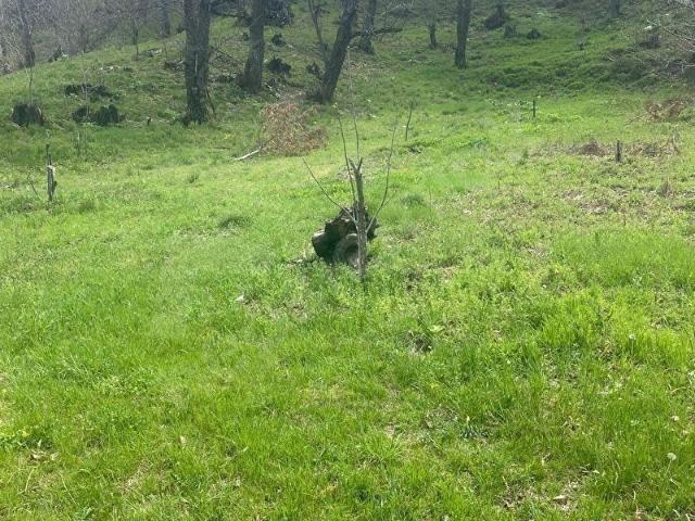 ÖDEMİŞ OVACIK SATILIK TARLA