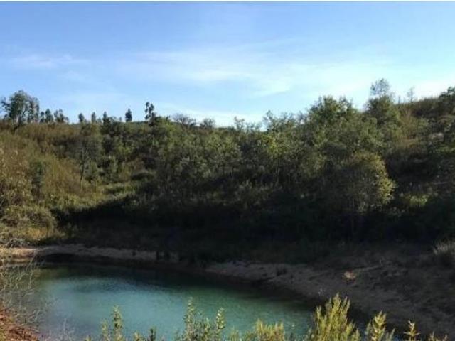 Odemira Odemira 100136338