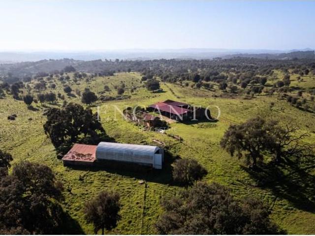 1 quarto, Odemira Odemira 101795457