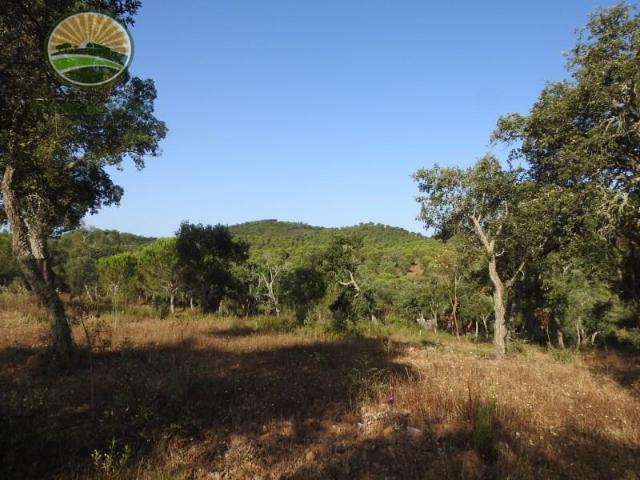Odemira Odemira 102587160