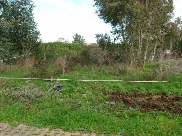 Odemira Odemira 103864200