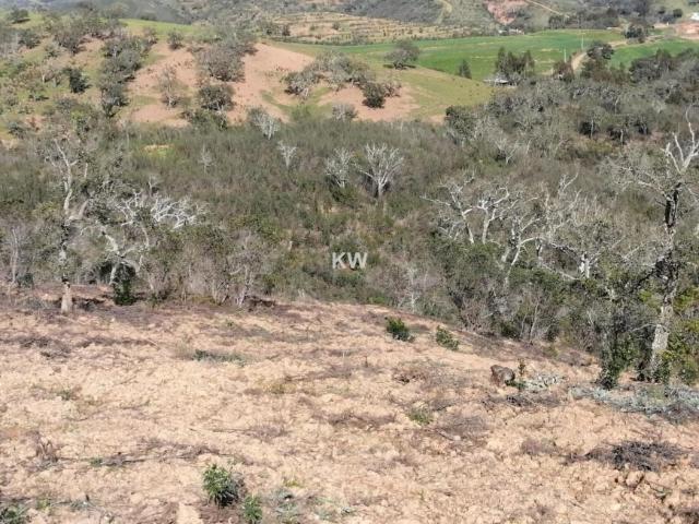 Odemira Beja 79782826