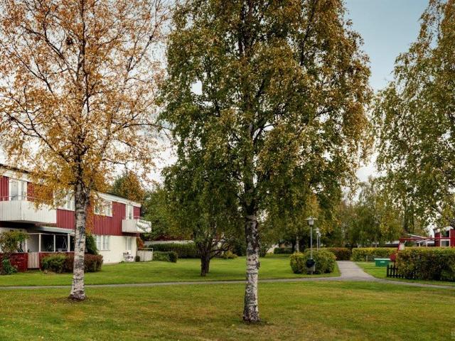 odensala, östersund, jämtland