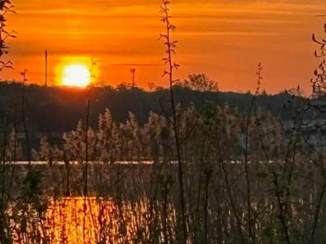 Odstąpię działkę nad Jeziorem Zegrzyńskim 0