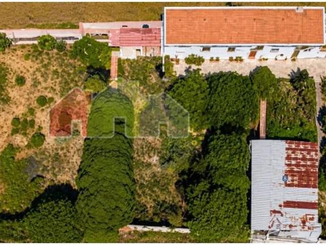 Oeiras Oeiras 103157795