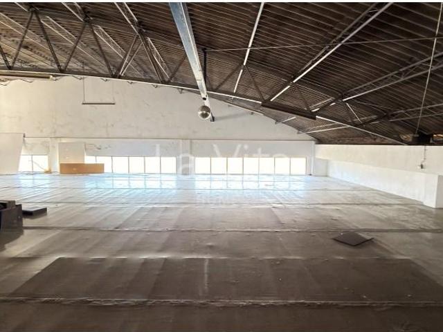 Oeiras Oeiras 104686443