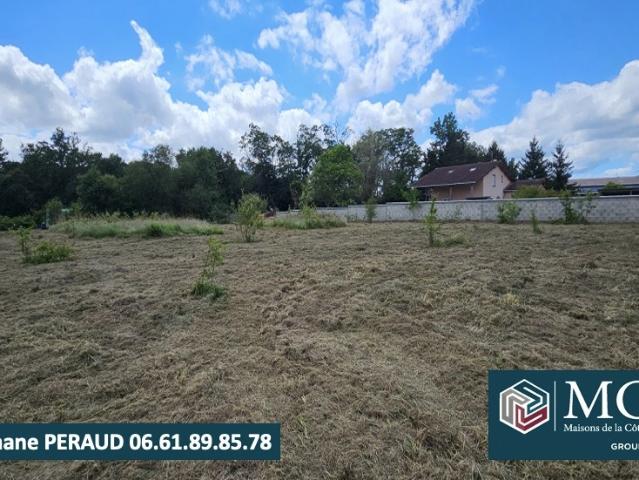 Oeyregave Vente Terrain 40