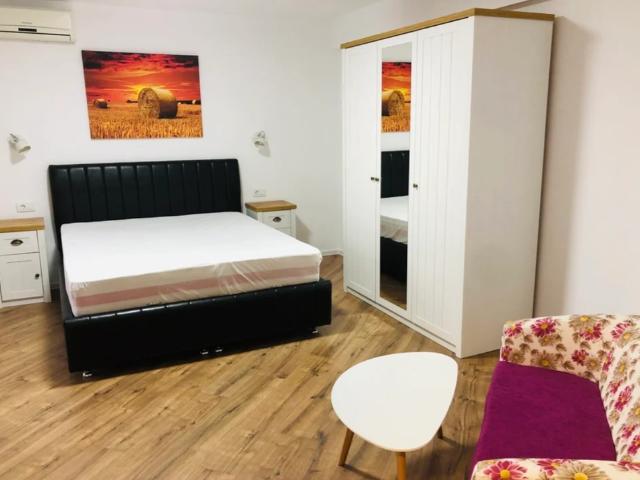 Ofer spre inchiriere apartament cu o camera in centru